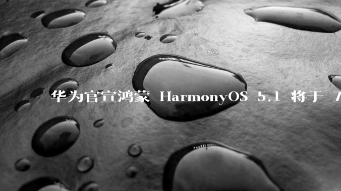 华为官宣鸿蒙 HarmonyOS 5.1 将于 7 月开启升级，对此你怎么看？会选择第一时间升级吗？